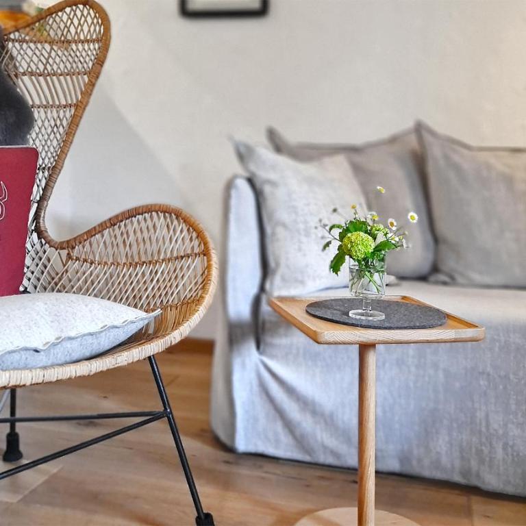Goldvogel Apartments - Apartment mit 1 Schlafzimmer und Dusche - 2