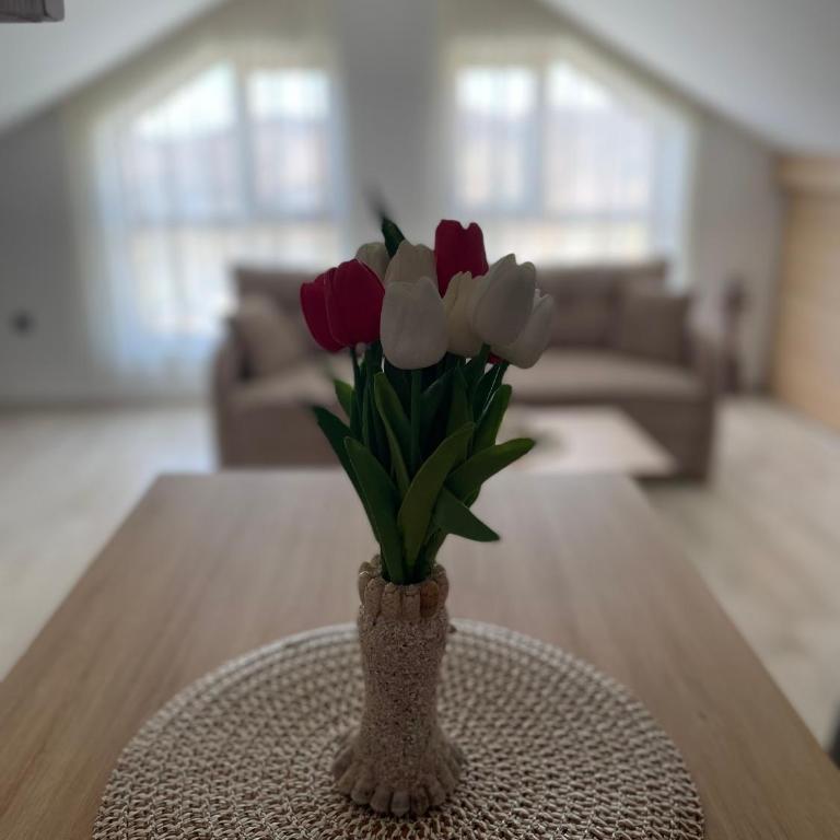 Vuk apartment - Milmari Resort & Spa - Studio - 26