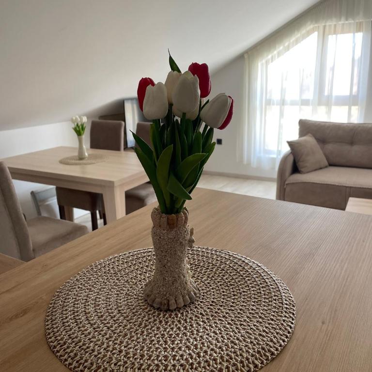 Vuk apartment - Milmari Resort & Spa - Studio - 25