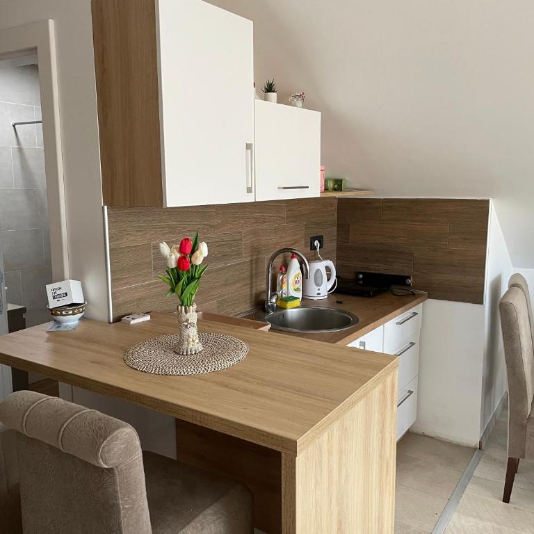 Vuk apartment - Milmari Resort & Spa - Studio - 19
