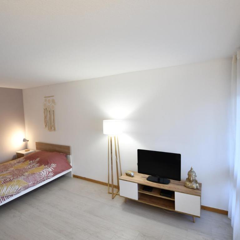 Cocon & Cosy Annecy - Apartment mit 1 Schlafzimmer - 1