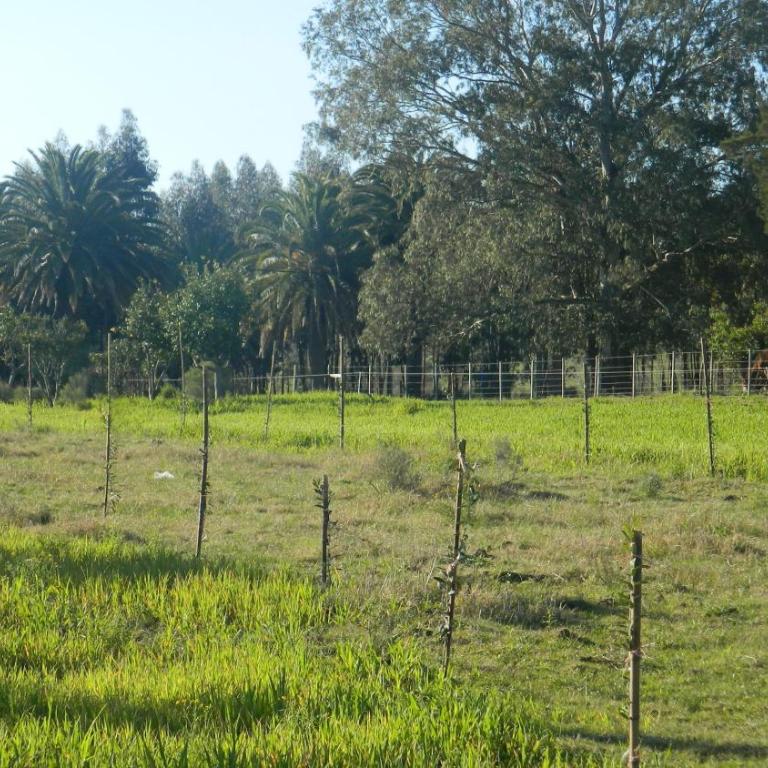 Casa De Campo Lo De Fatsia - Habitación Doble Estándar - 3