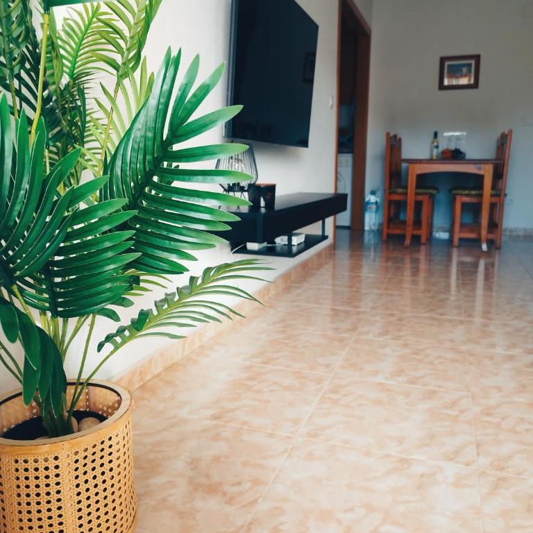 Santa Pola Playa - Apartamento de 1 dormitorio - 17