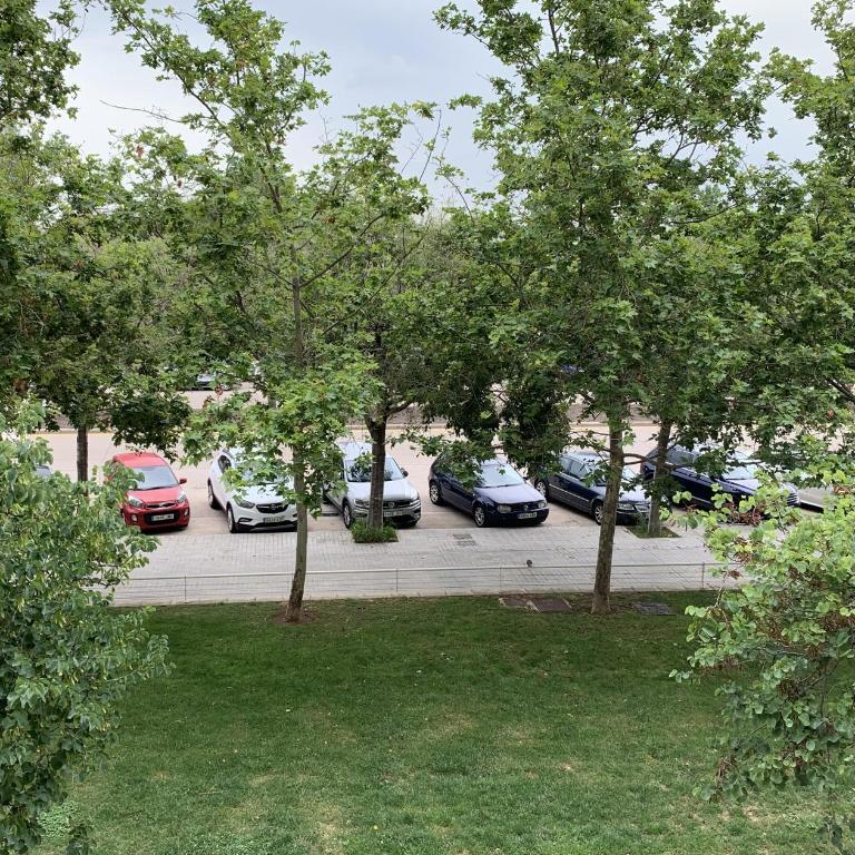 Art and Sciences view luxury apartment - Three-Bedroom Apartment - 2