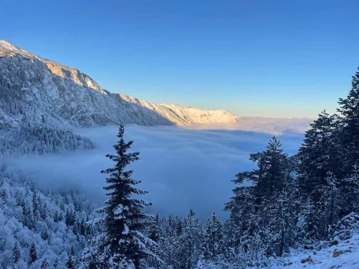 Apartman A&J - One-Bedroom Apartment - 37