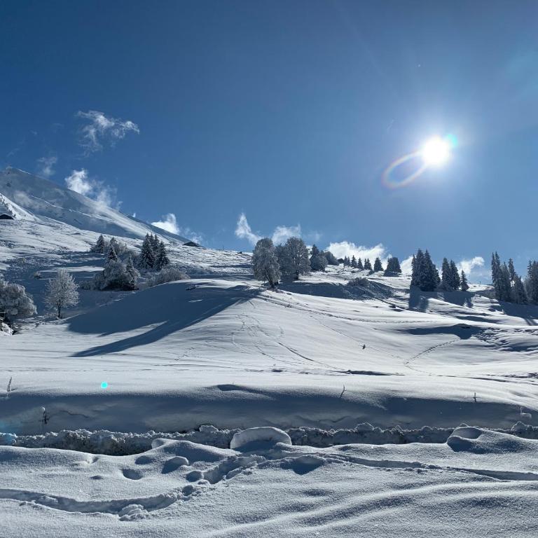 Aravis 1500, No 4, Appartement 3 pièces, Vue montagne - Two-Bedroom Apartment - 8