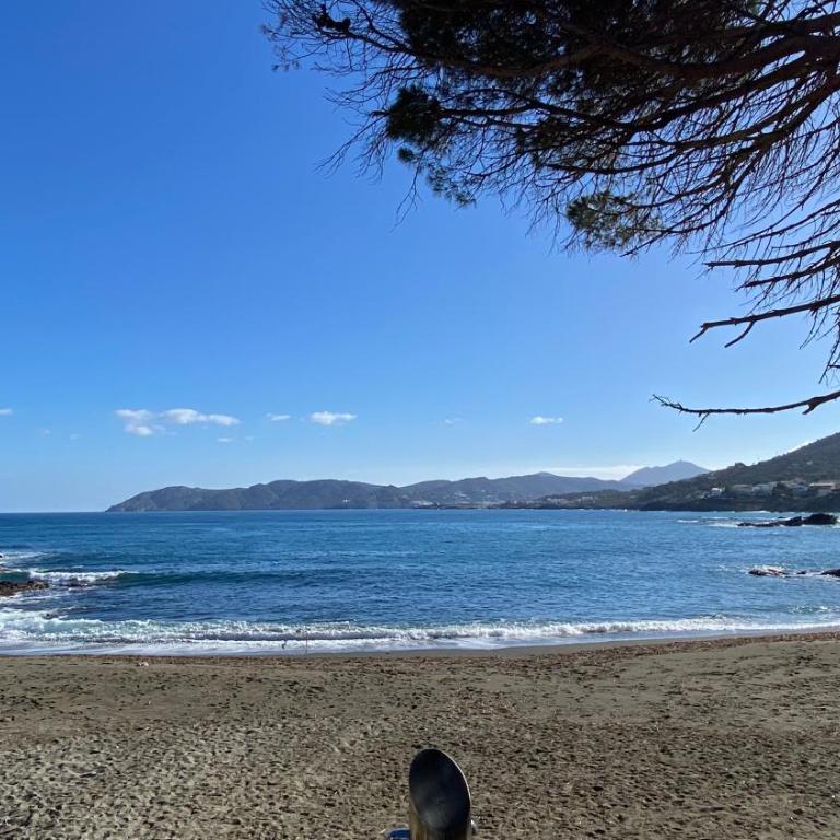 Gran sol de la Farella - Apartamento de 2 dormitorios - 14