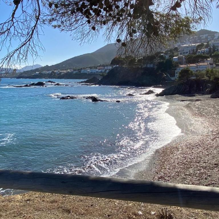 Gran sol de la Farella - Apartamento de 2 dormitorios - 18