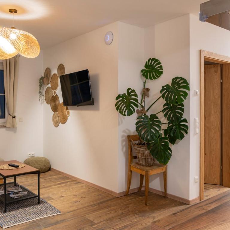 Villa Elisabeth - Apartment mit 2 Schlafzimmern - 6