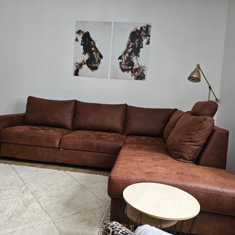 Studio Leone Sunčana Planina - Superior Studio - 9