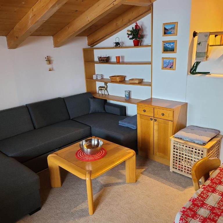 Zillertal-Arena 42m2 (2-6 persons: 2adults +4kids) - Apartment mit 1 Schlafzimmer - 5