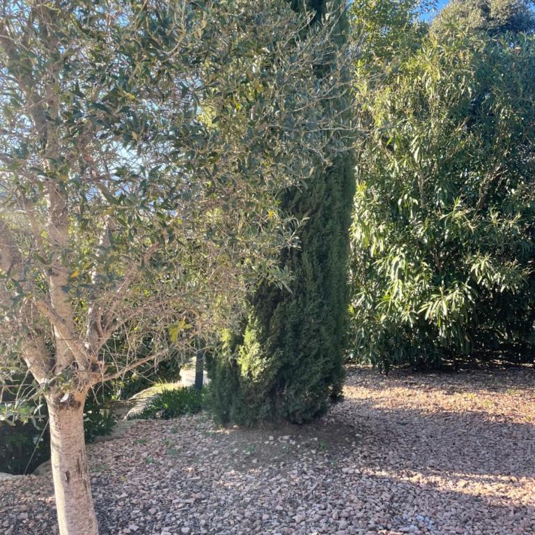 Villa Porto-vecchio 4 chambres avec piscine - Villa con piscina privada - 31