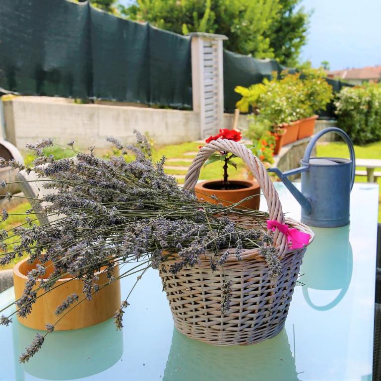 Casa Alice - Appartamento con 2 Camere da Letto - 50