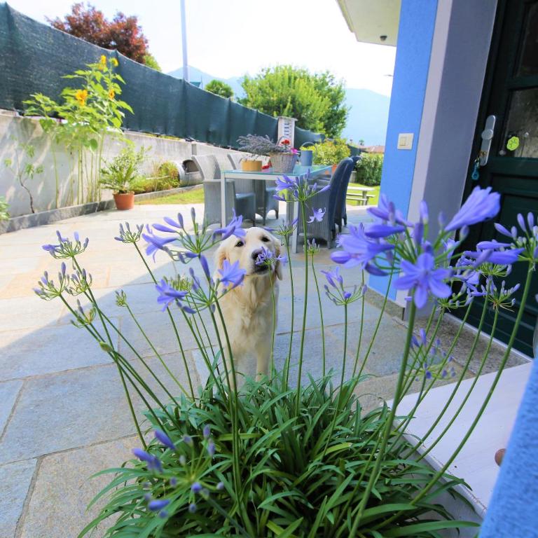 Casa Alice - Appartamento con 2 Camere da Letto - 58