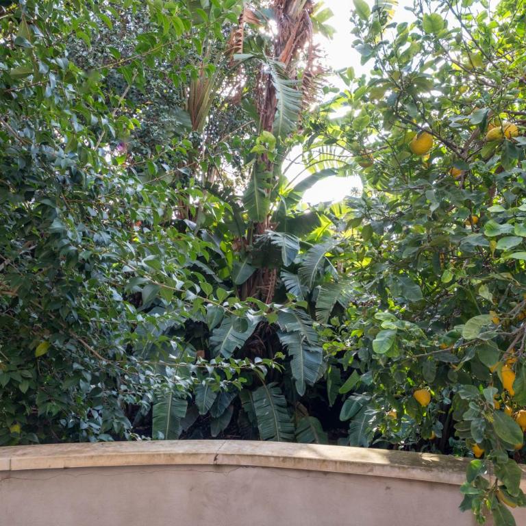 La Corte dei Nespoli - Villa con 3 Camere da Letto - 26