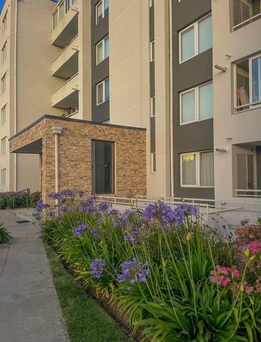 Moderno Departamento - Two-Bedroom Apartment - 6