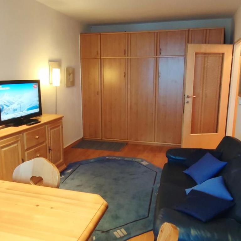 Casa Alpina Apartment - Pool&Sauna - include JOKER CARD - Studio mit Bergblick - 4