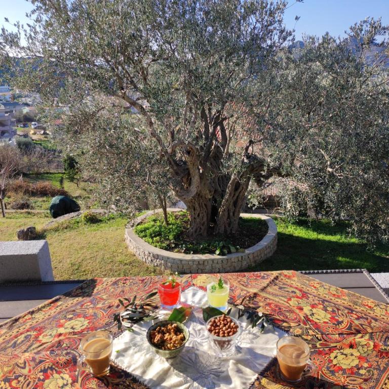 Zelena Maslina - Villa with Private Pool - 3