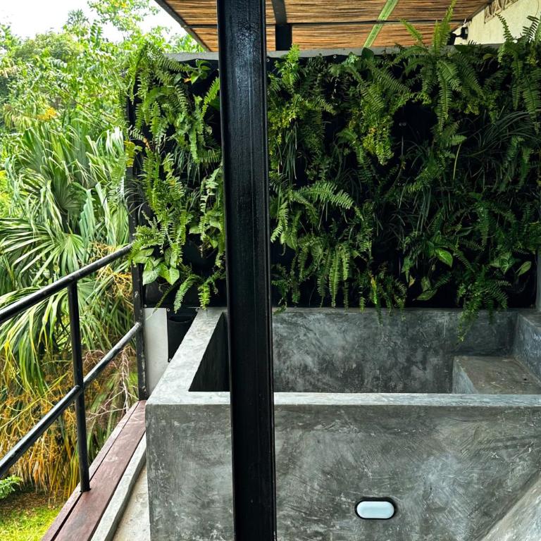 Casa Xue Tayrona - Alma Hotels - Suite con balcón - 7