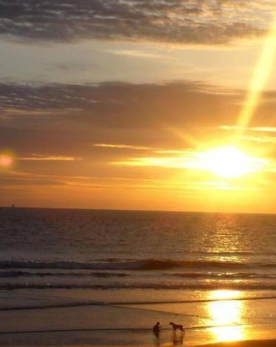 Dpto Con Vista al Mar UrbAltamar II Via a Data - Apartamento de 3 dormitorios - 24