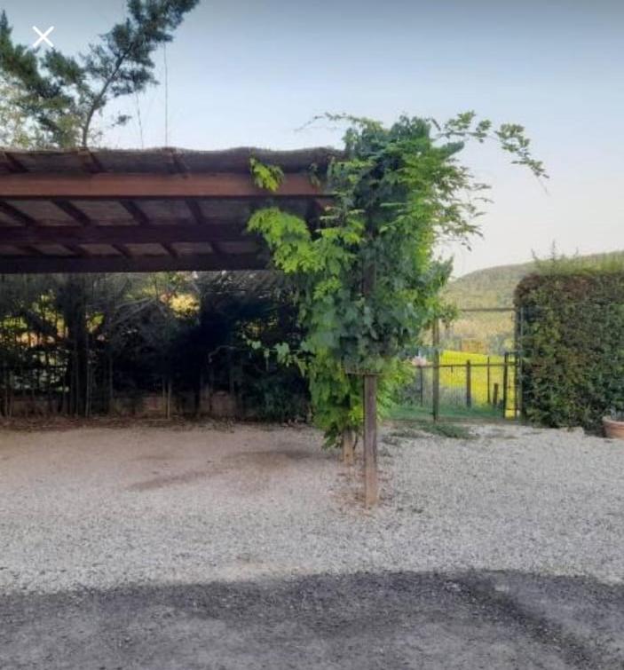 La Casina di Ancicucco 1 - Appartamento con 1 Camera da Letto - 35