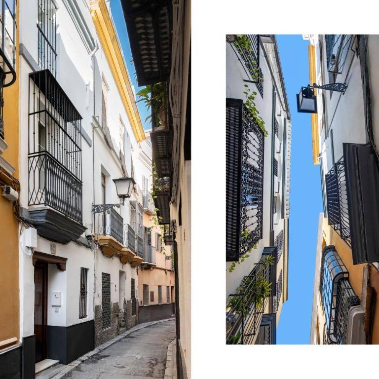 Magno Apartments Vírgenes Luxury House - Casa Unifamiliar de 3 dormitorios - 22