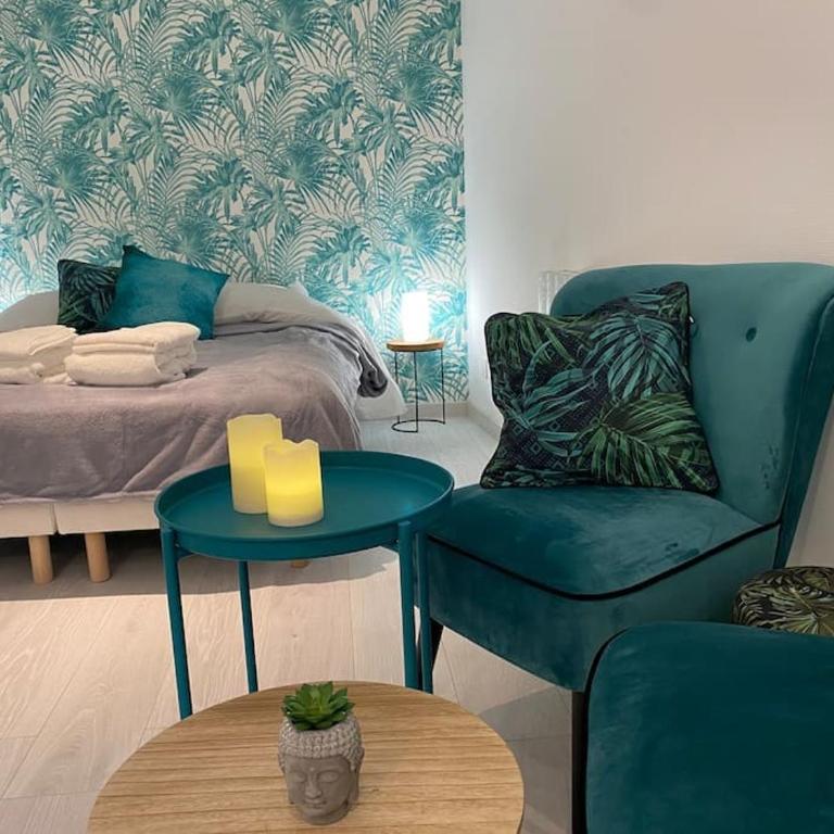 Esprit Jungle ........ au coeur de Mulhouse - Apartment mit 1 Schlafzimmer - 1