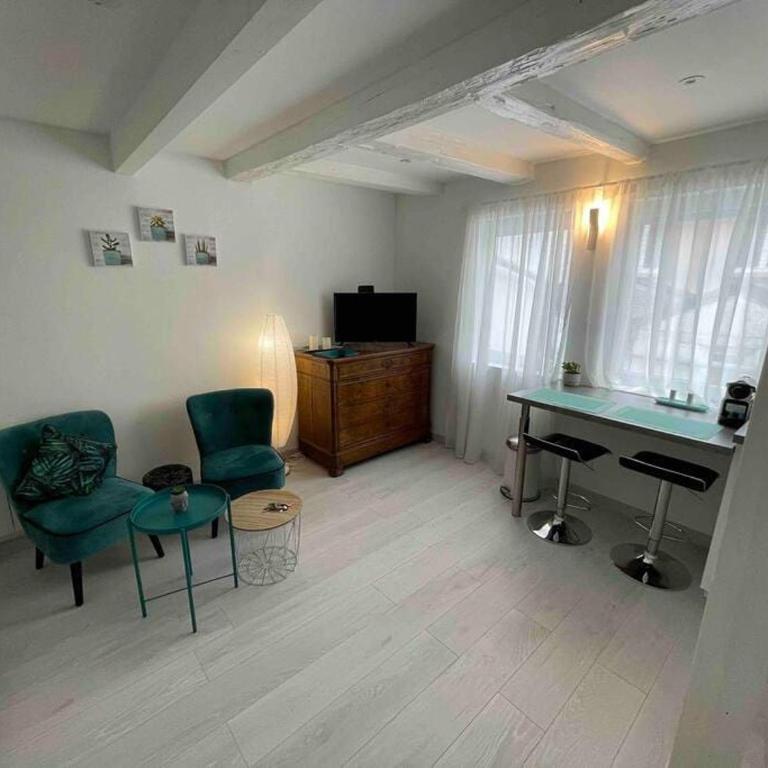 Esprit Jungle ........ au coeur de Mulhouse - Apartment mit 1 Schlafzimmer - 6