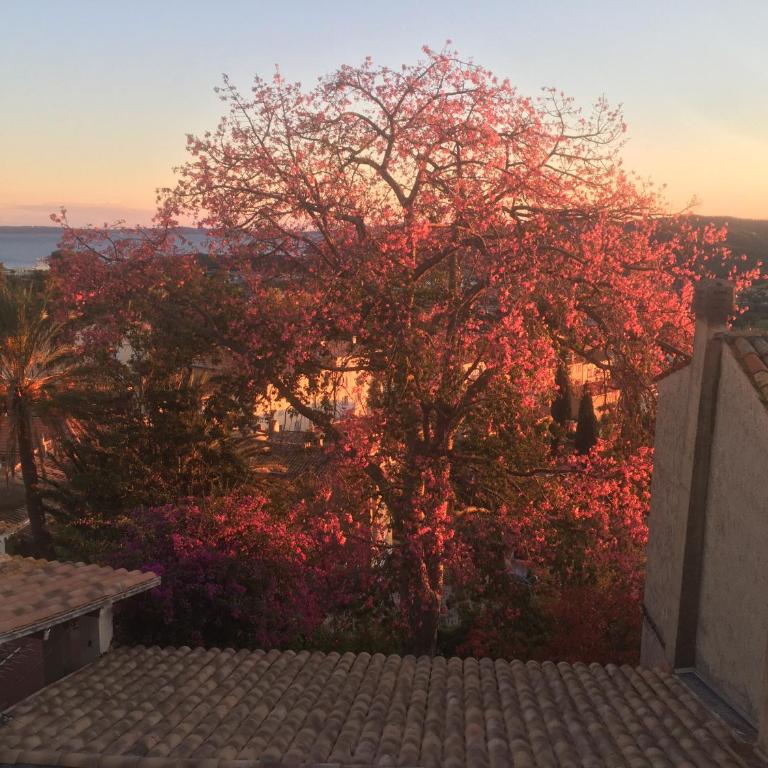 Studio Liège, vue mer au village de Bormes les Mimosas - Studio - Vue sur Mer - 7