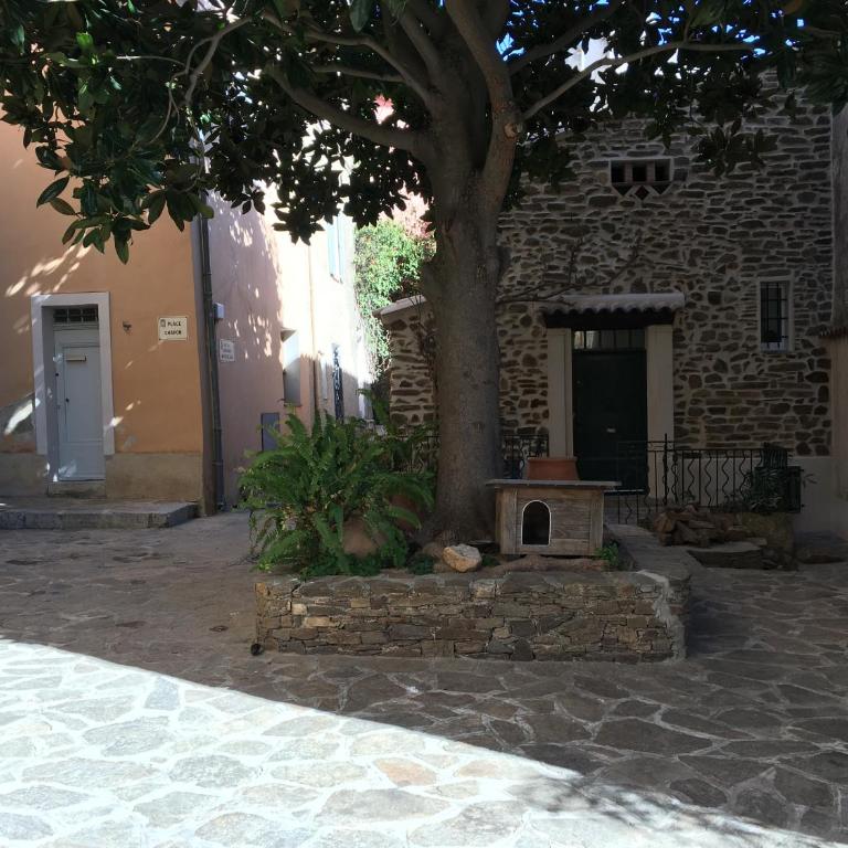 Studio Liège, vue mer au village de Bormes les Mimosas - Studio - Vue sur Mer - 13