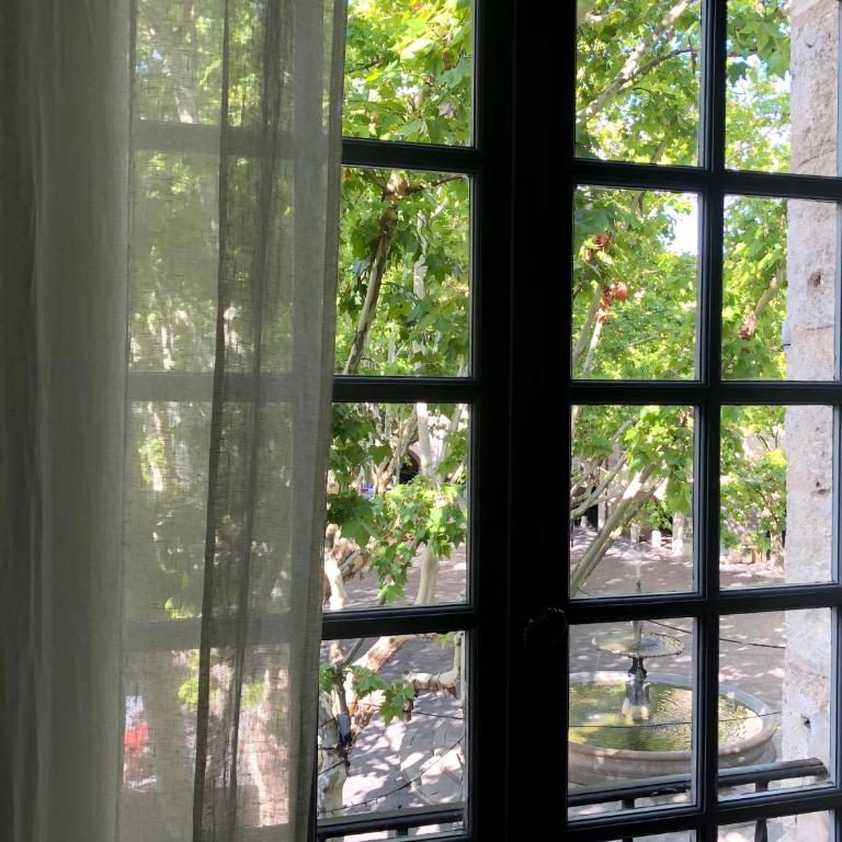 La bohème place aux herbes - Appartement 1 Chambre - 10