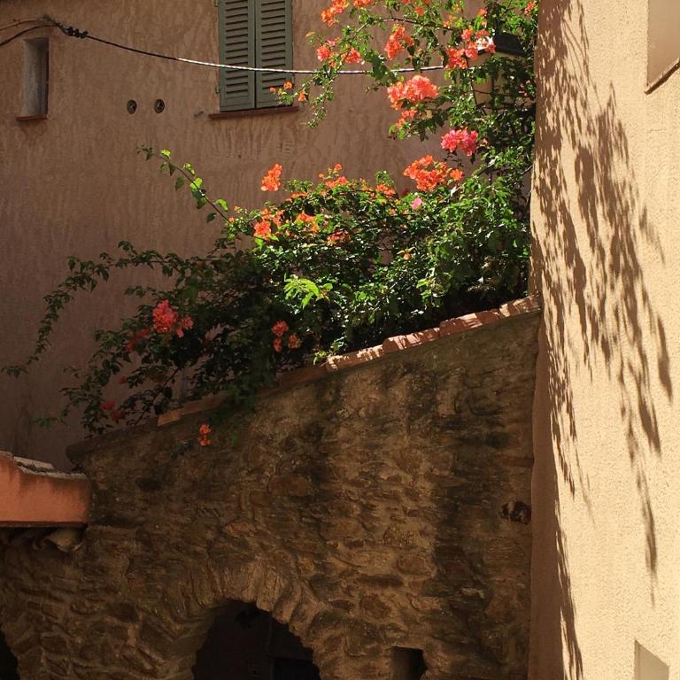 Studio 3 pers coeur de village Bormes les Mimosas - Queen Studio - 10