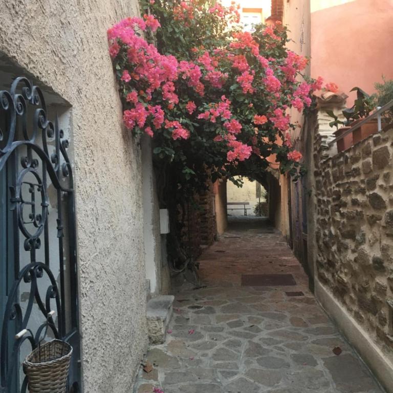 Studio 3 pers coeur de village Bormes les Mimosas - Queen Studio - 12