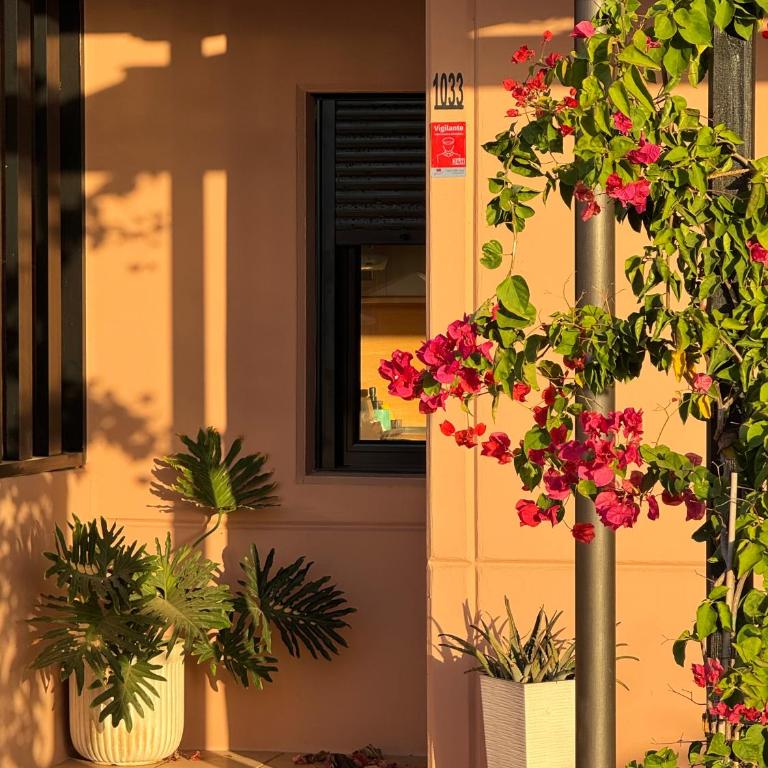 Villa Aloe - Villa de 1 dormitorio - 8
