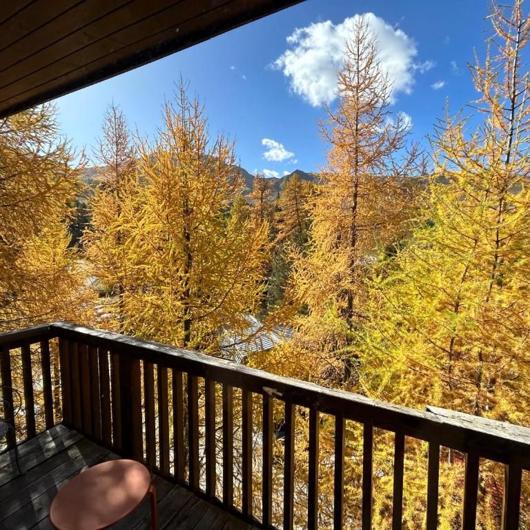 PARADIS LODGE, chalet altitude 2000m, Vue, Plagne Centre, 200m des pistes - Chalet - 6