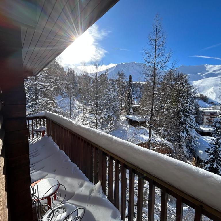 PARADIS LODGE, chalet altitude 2000m, Vue, Plagne Centre, 200m des pistes - Chalet - 1