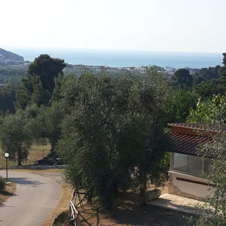 Dimora Anna - Appartamento - 5