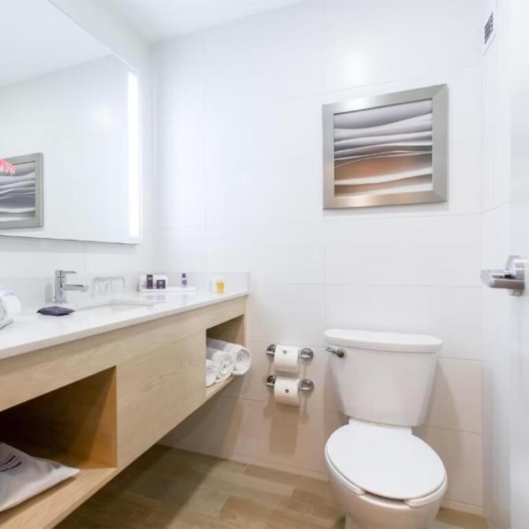 Gran Hotel de Puebla by HNF - Suite Junior con sofá cama - Cama doble grande - 1