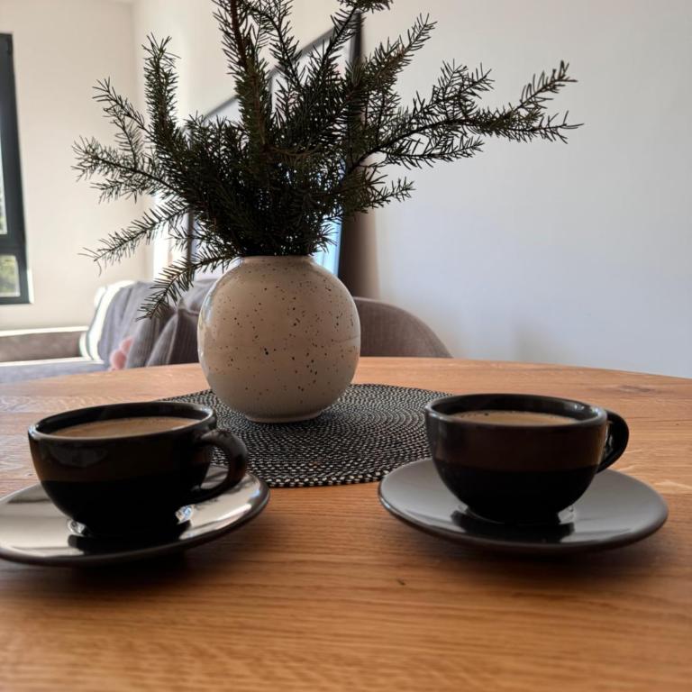 Apartman 8 - Apartman sa 1 Spavaćom Sobom - 13