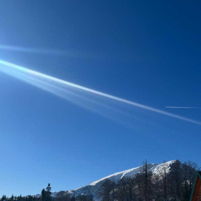 Apartments Orchidea - Studio with Balcony - 4