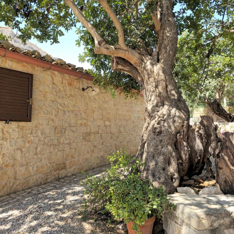 Villa Maros - Villa con 3 Camere da Letto - 5