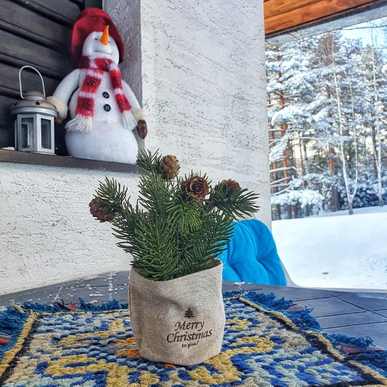 Bungalov Zahej Divčibare - Brvnara sa 1 Spavaćom Sobom - 22