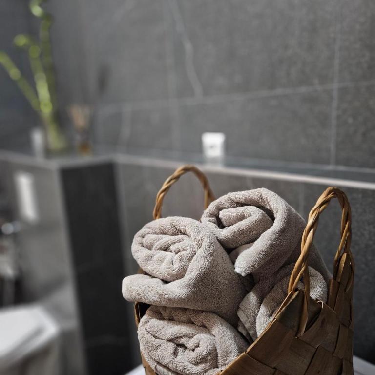 Apartman MAA - Apartman sa 1 Spavaćom Sobom - 18