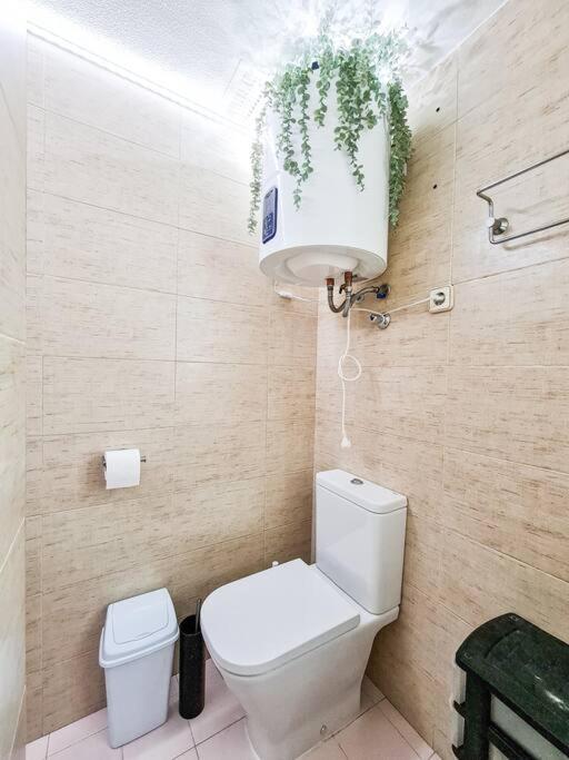 Apartamento Olímpico en Murcia - Apartamento de 1 dormitorio - 16