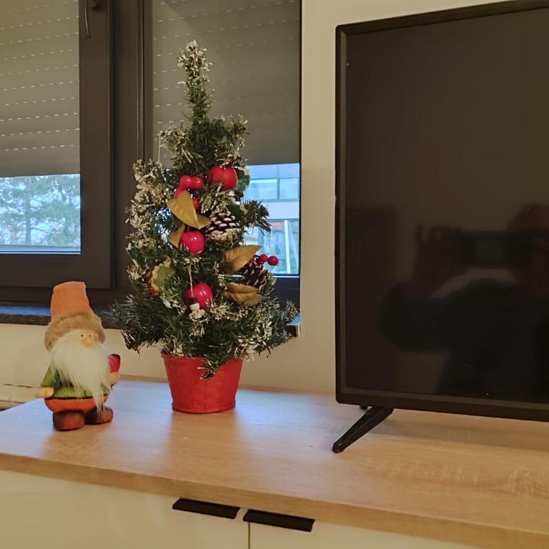 Panonika Tuzla - Apartman sa 1 Spavaćom Sobom - 6