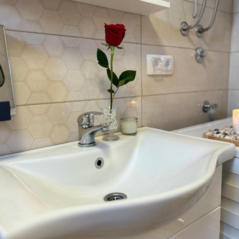 APARTMAN "Kuća za odmor Vera" - Apartman sa 1 Spavaćom Sobom - 23
