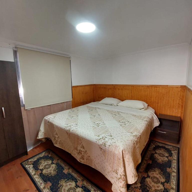 Departamento interior 2 Villarrica Céntrico - Apartamento de 2 dormitorios - 1