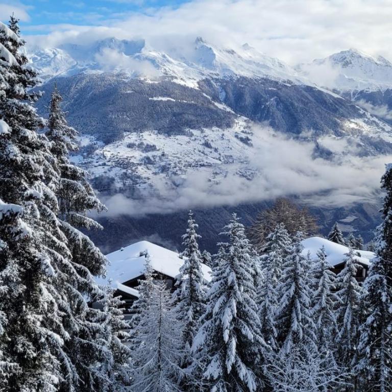 Cosy studio for 4 near ski lift, HAMEAU C13 - One-Bedroom Apartment - 2