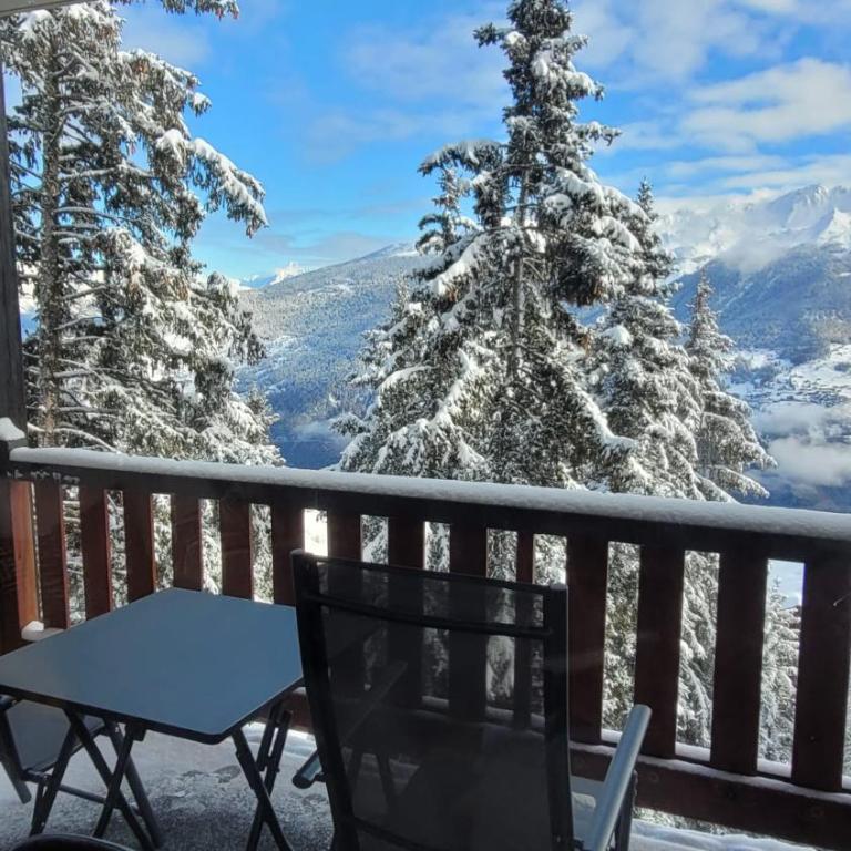 Cosy studio for 4 near ski lift, HAMEAU C13 - One-Bedroom Apartment - 3