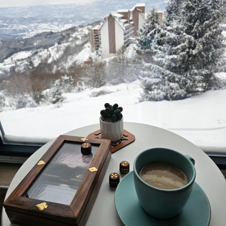 Kopaonik Lux Resident Hill Apartman A39 - One-Bedroom Apartment - 8